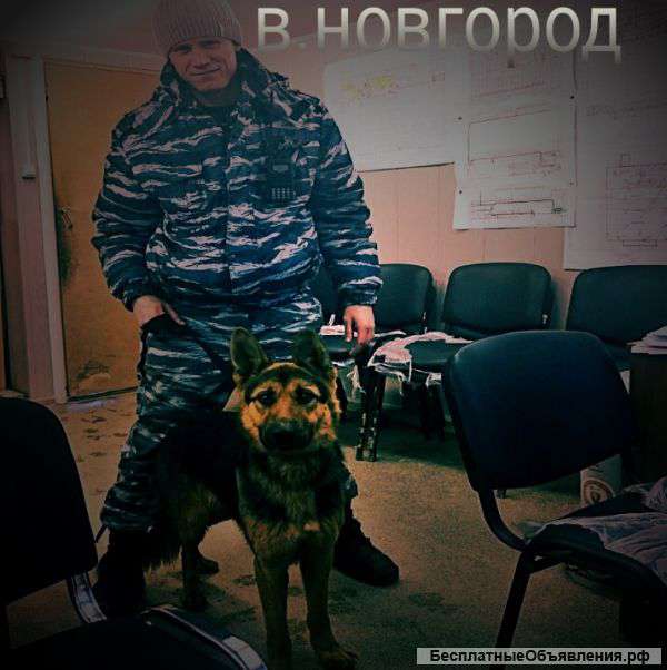Охрана