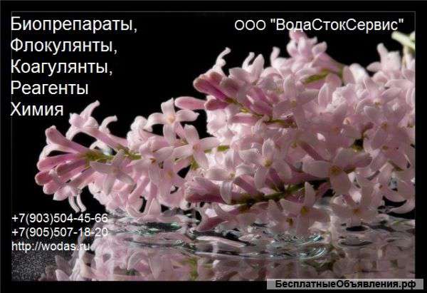 Биопрепараты для Жироуловителя -купить в Москве, в России. Доставка