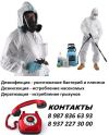 Дезинфекция Дезинсекция Дератизация в Энгельсе