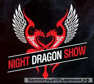 Праздничное агентство “Night Dragon Show”
