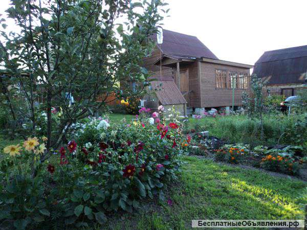 Дачу с постройками Киевское ш