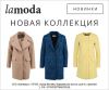 Одежда и обувь