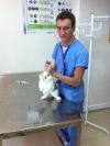 Ветеринарный врач на дом