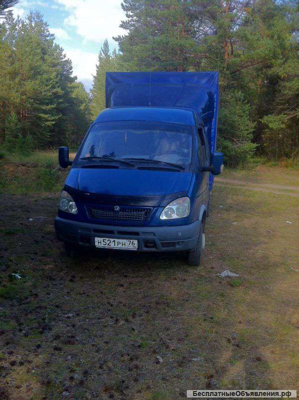 Газель Фермер