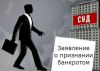 Банкротство физ. лиц. ИП