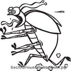 Уничтожение тараканов и клопов во Владивостоке