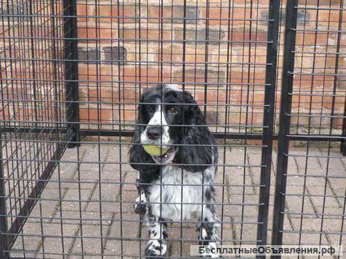 Вольеры для животных