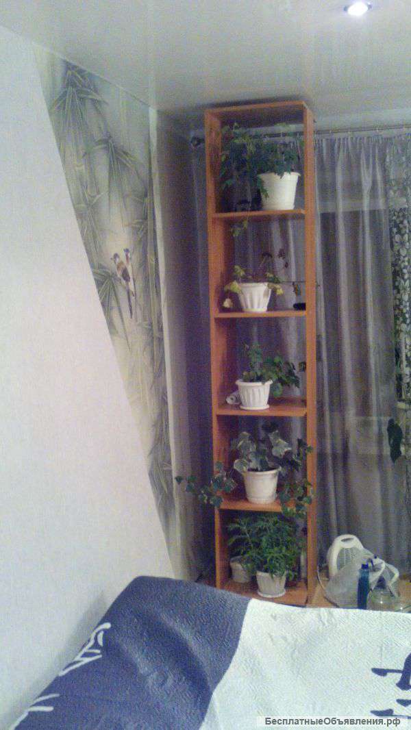 Стеллаж (полки для книг, цветов)