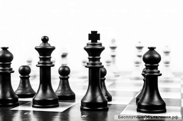 Шахматист - педагог