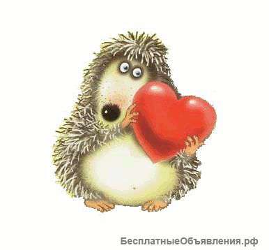 Это не просьба о помощи это крик души