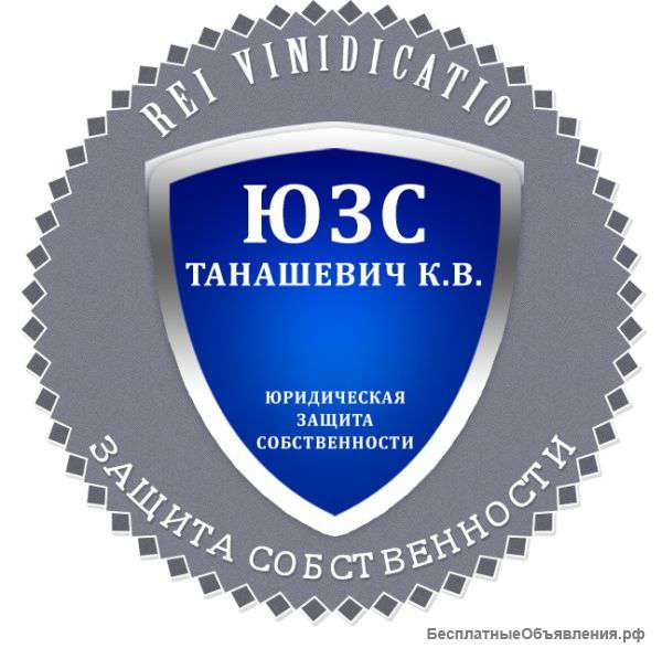 Профессиональная юридическая помощь