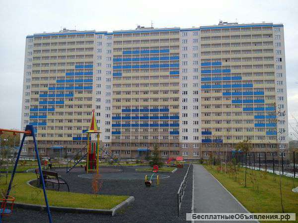 2-комнатную квартиру студию