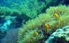 Египет, Шарм, Sharm Cliff Resort 19/10 на 4 ночи