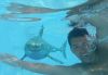 Египет, Шарм-Эль-Шейх, Sharm Holiday Resort 6 ночей