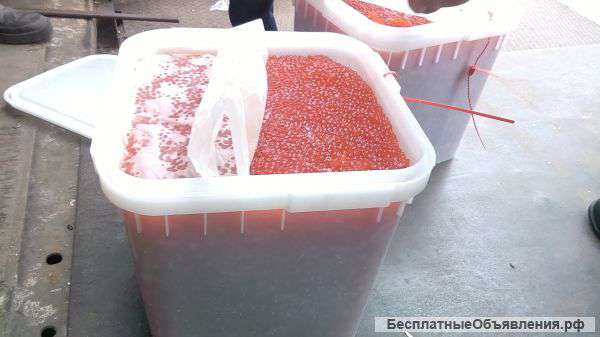 Икра красная Кеты,1 сорт,от производителя. 2250р/кг.