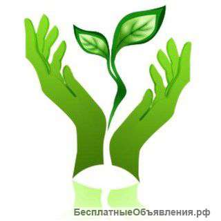 Утилизируем .Быстро БЕСПЛАТНО )Выкупим