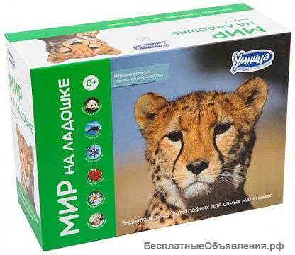 "Мир на ладошке" выпуск 1
