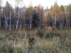 Земельный уч-к,оз.Увильды,Челябинская область