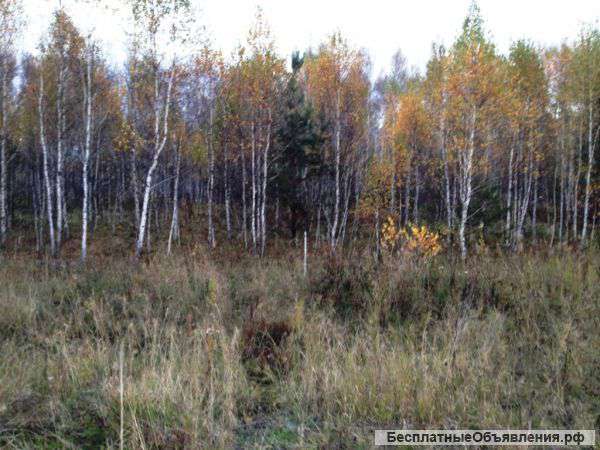 Земельный участок на оз.Увильды