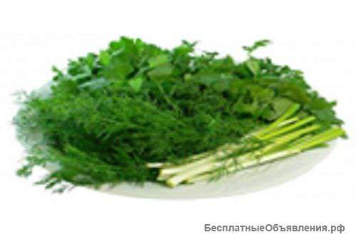 Зеленый лук, укроп, петрушку