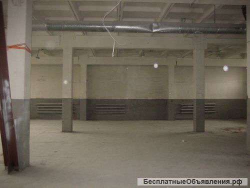 Сдам в аренду