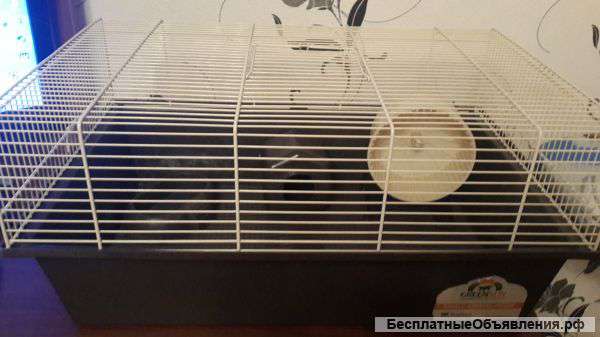 Клетка для грызунов