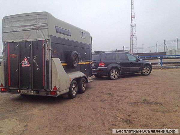 Услуги перевозки любых животных