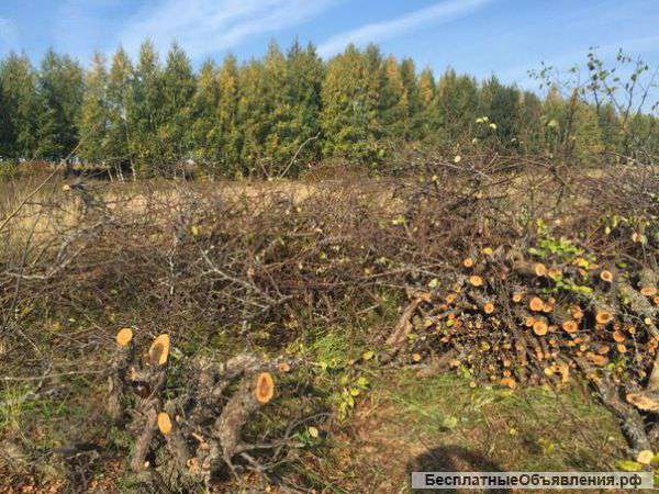 Яблоневые дрова и щепу оптом