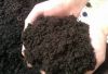 Чернозем на подсыпку Вашего участка