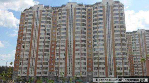 3-комнатную квартиру
