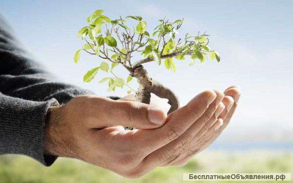 Оздоровительный массаж