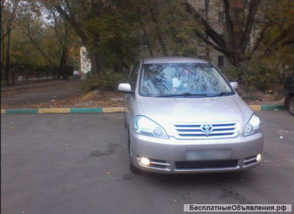 Таета ипсум 2001