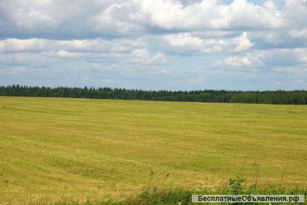 Земля С/Х назн. 210 га. расположен в 63 км от г. Омска, Омская обл.