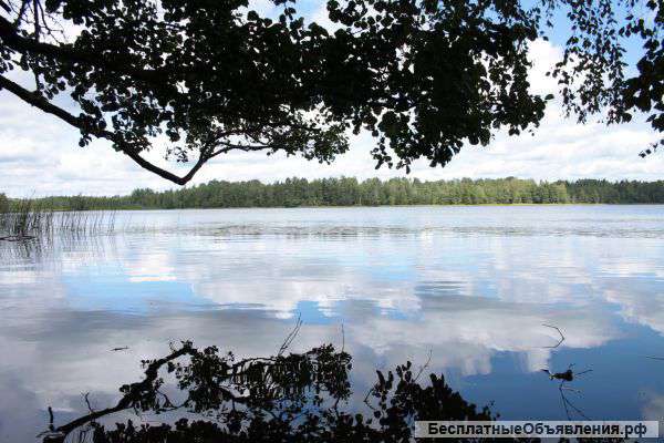 Участок в Пеновском районе