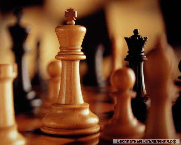 Педагог в шахматный клуб