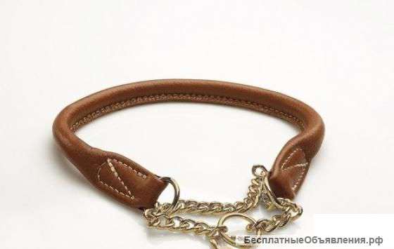 Ошейники для шпица