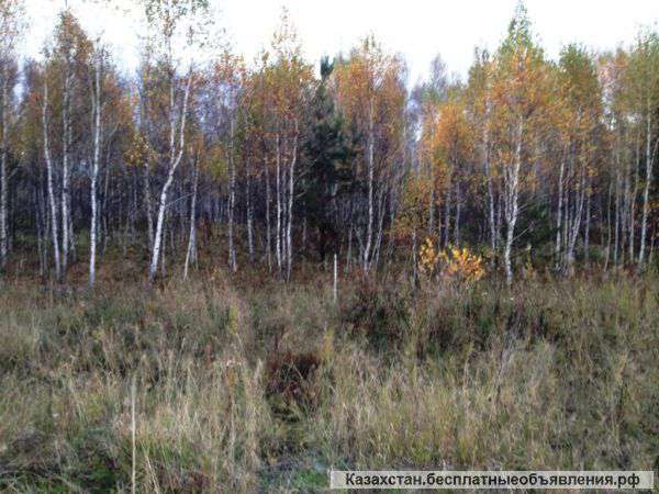 Челябинская обл, оз. Увильды