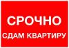 Сдается в Зеленограде современная квартира за 20000