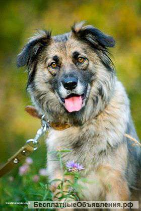 Жизнерадостная девочка в хорошую семью