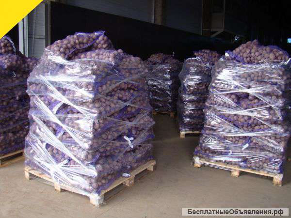 Картофель оптом