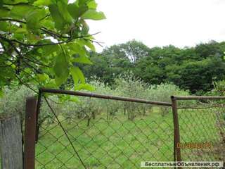 93 сотки земли в Сочи