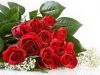 Цветы на Ленинградской