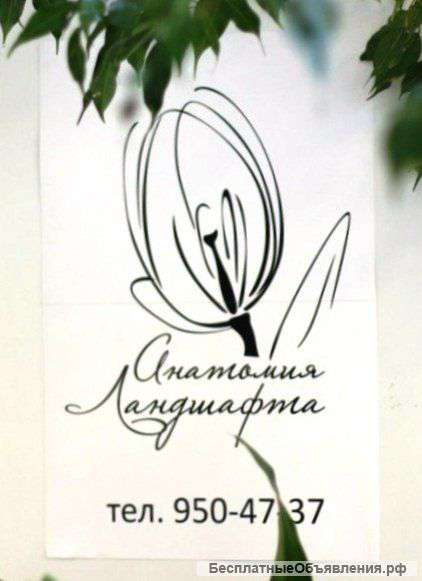 Фитодизайн помещений