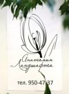 Фитодизайн помещений