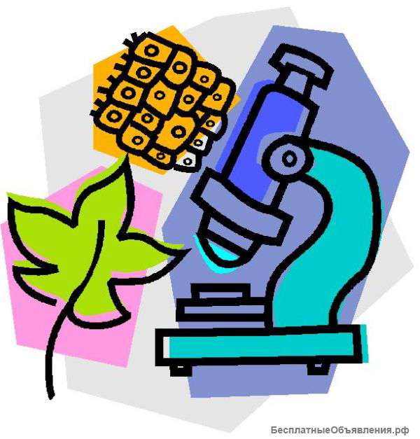 Репетитор по химии и биологии