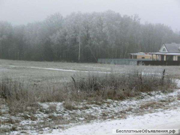36 соток п. Серебряные Ключи