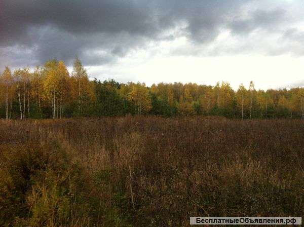 Земля сельхозназначения