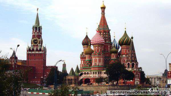 Найду и отправлю Вам от иголки до слона