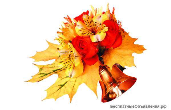 Репетитор по математике