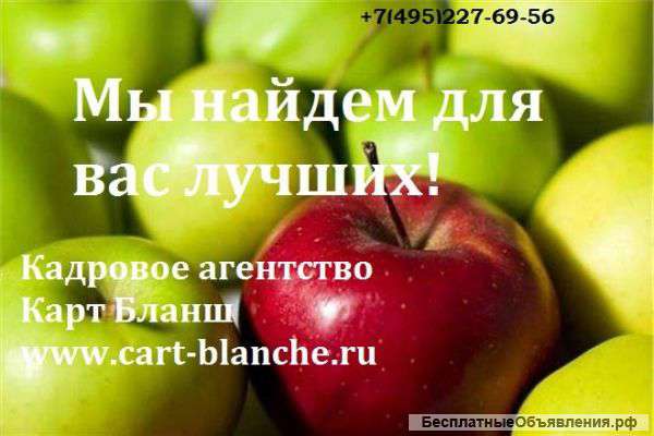 Подбор Персонала в Москве, Московской области и Регионах